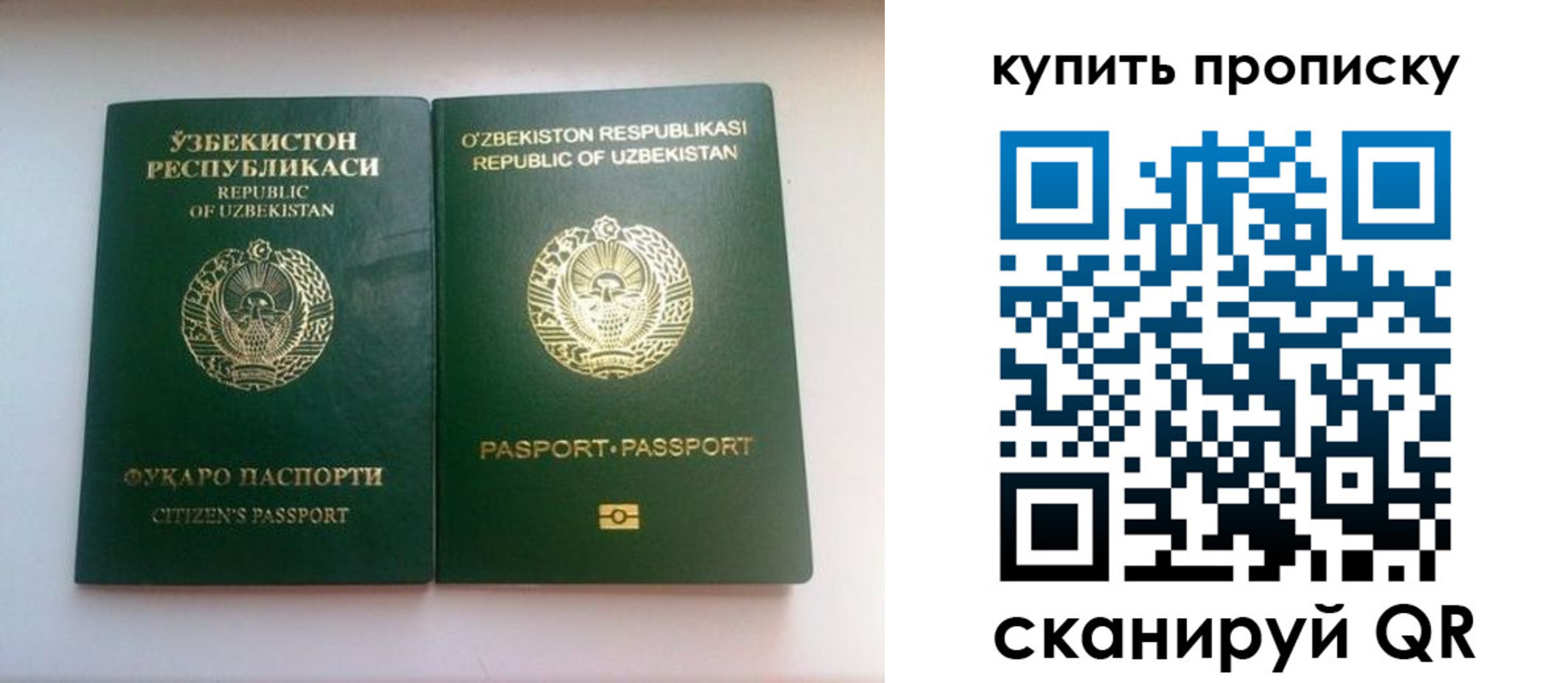 временная прописка в Краснознаменске